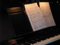 RealNewMusic 2008 (10)